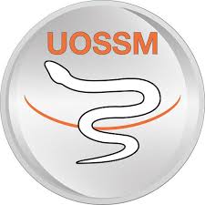 placeholder image-sq